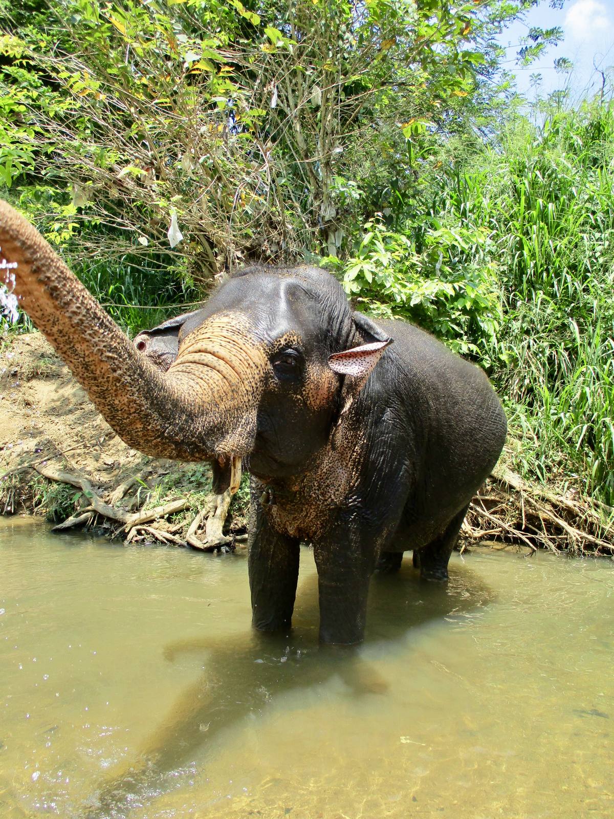 Sri Lanka, Sri Lanka
